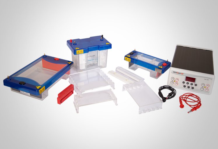 Analytical Balance
