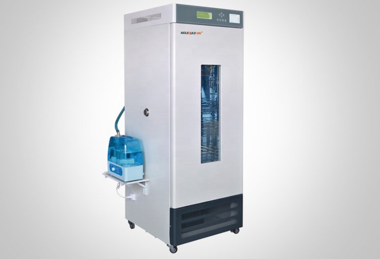 Autoclave