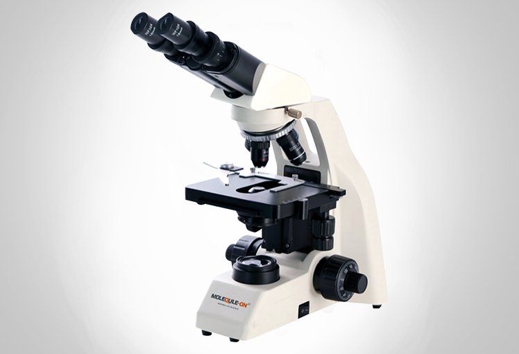 Analytical Balance