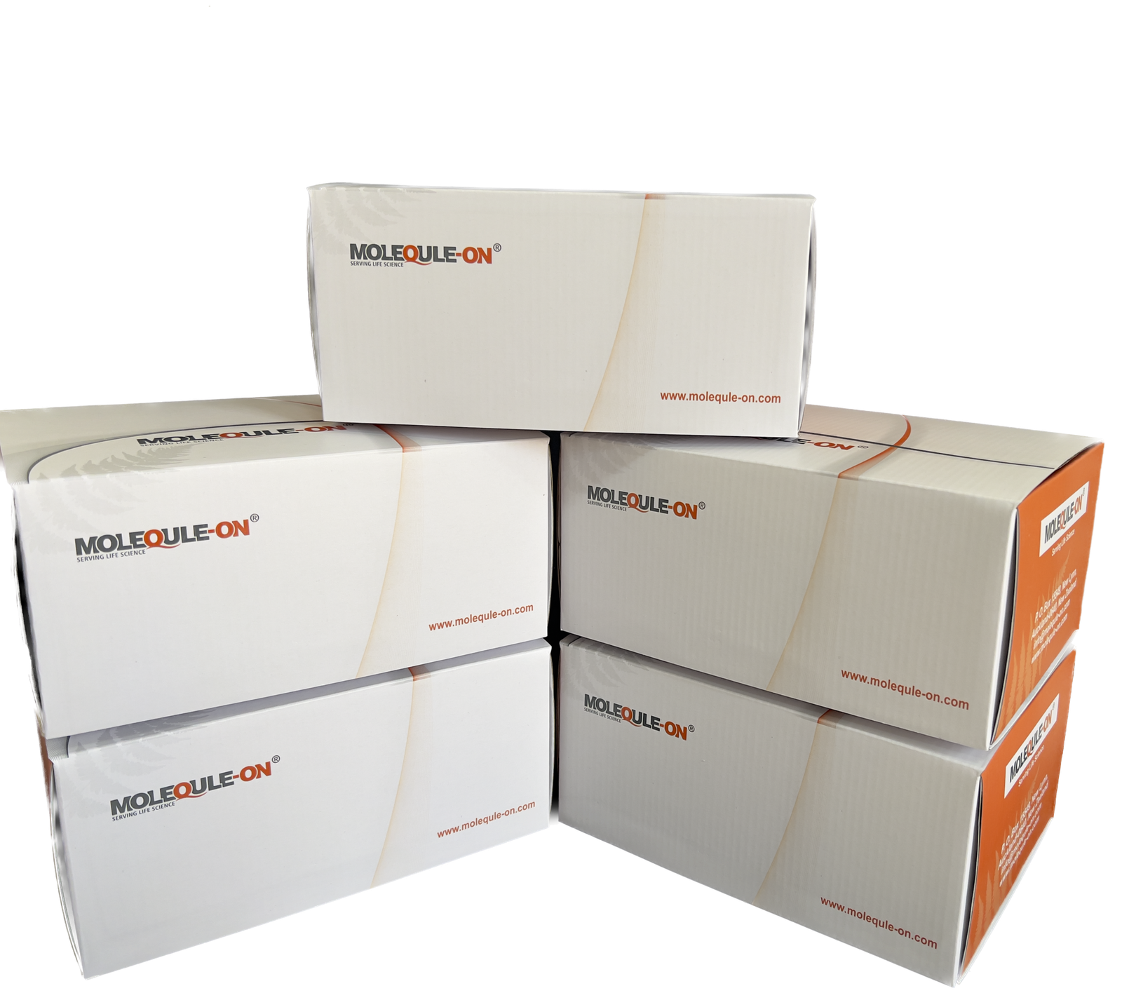 Colorimetric Assay Kit