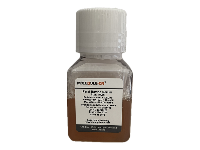 Fetal Bovine Serum (FBS)