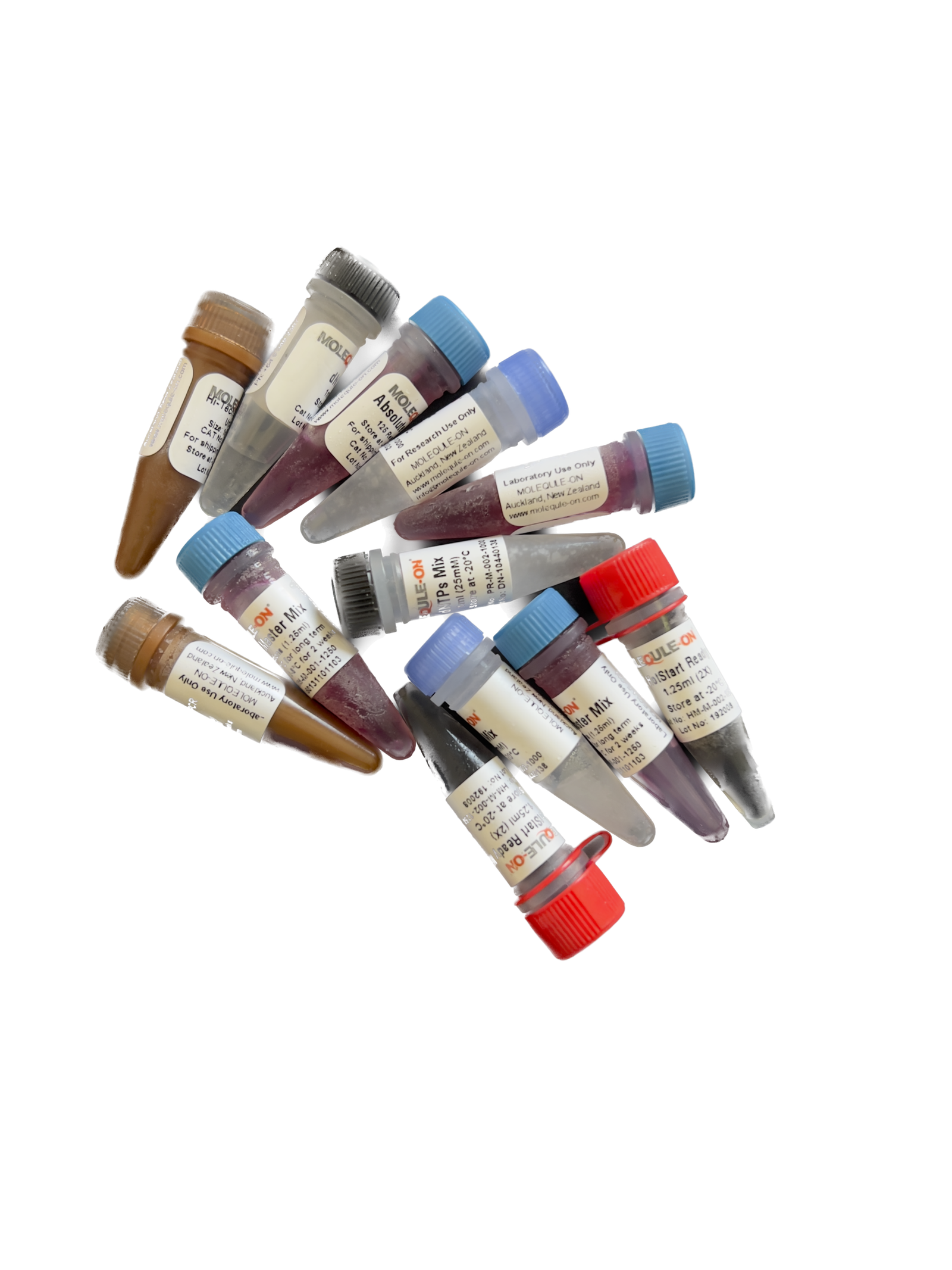 PCR Reagents