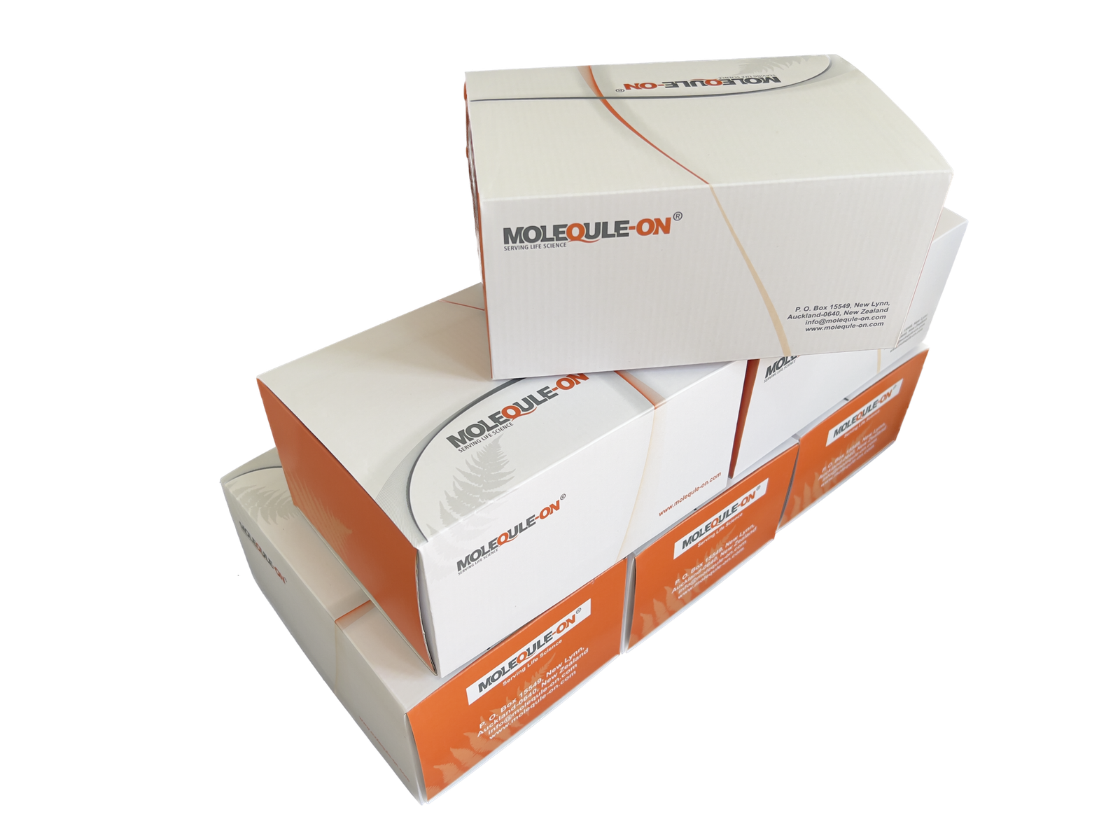RNA Kits