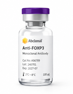 Anti-FOXP3