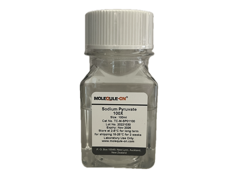 Sodium Pyruvate (100X)