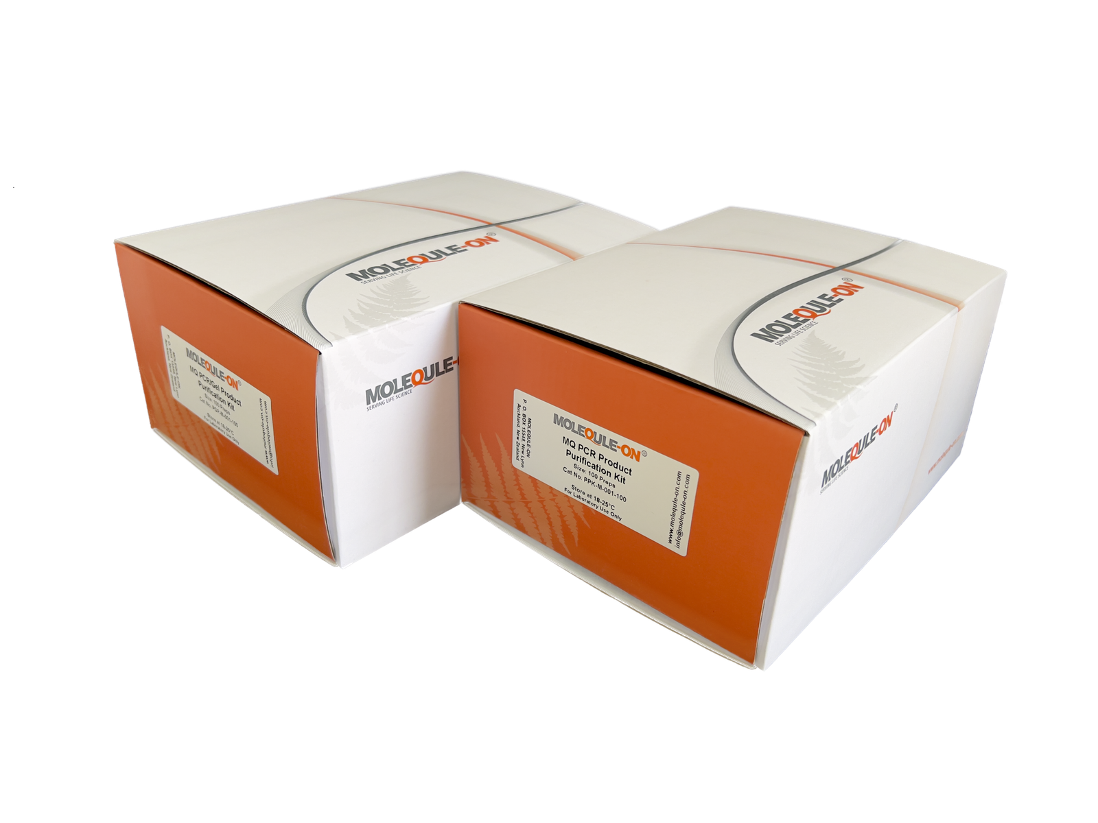 Purification Kits