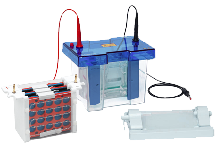 PAGE Mini Electroblotter