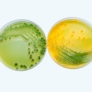 Microbiology